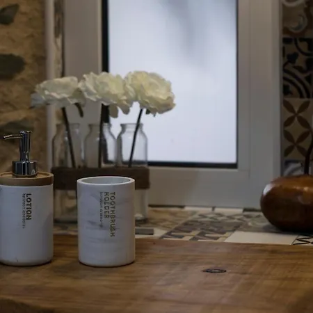 Salgueiral Douro Holiday home Peso da Regua