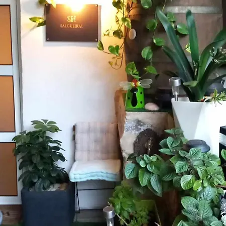 Holiday home Salgueiral Douro Peso da Regua