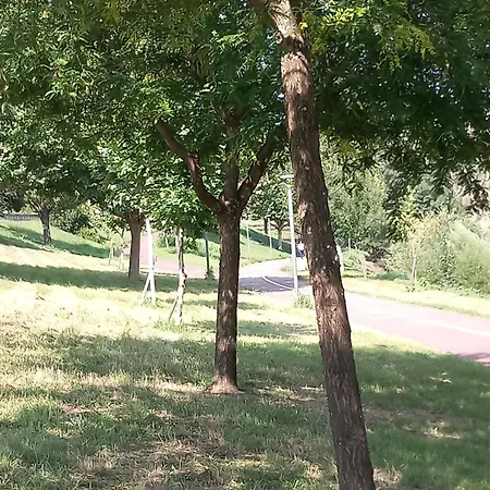 Holiday home Salgueiral Douro *