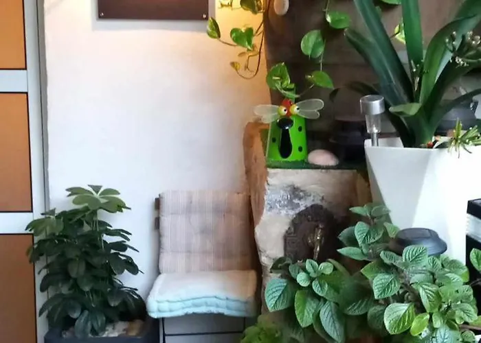 펜션 Salgueiral Douro 페소다레과