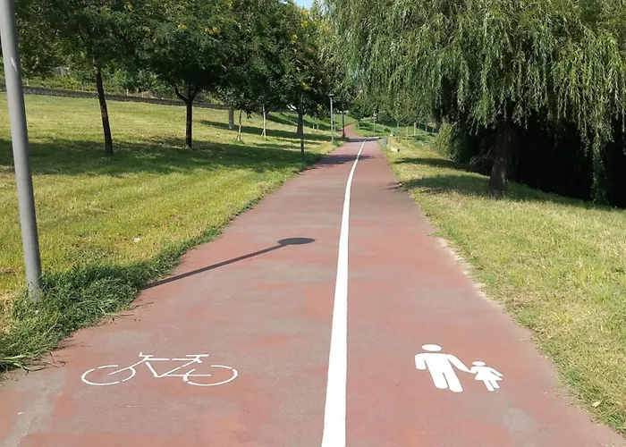 Salgueiral Douro 펜션 페소다레과