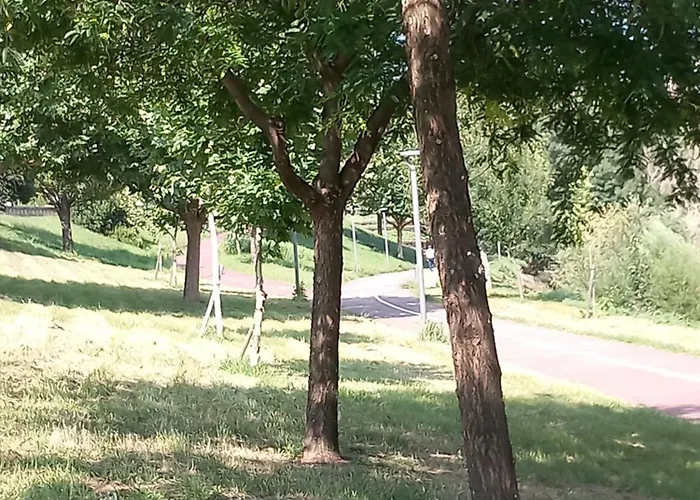 펜션 Salgueiral Douro *