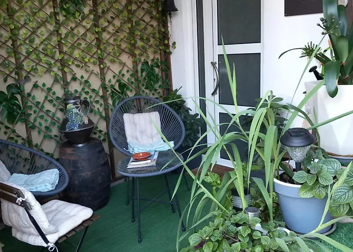 펜션 Salgueiral Douro 페소다레과